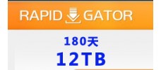 Rapidgator 高级会员180天 12TB